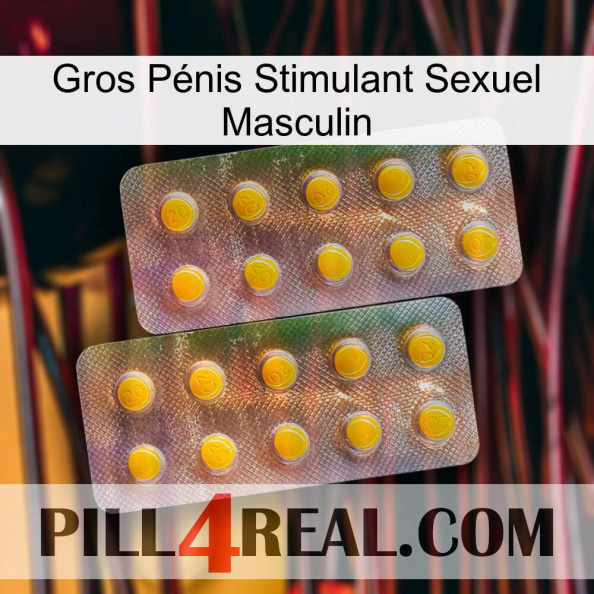 Gros Pénis Stimulant Sexuel Masculin new10